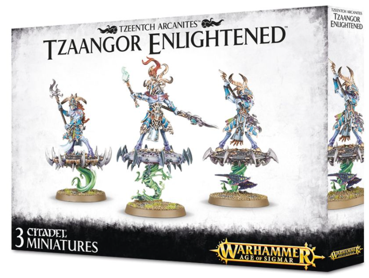 Tzaangor Enlightened